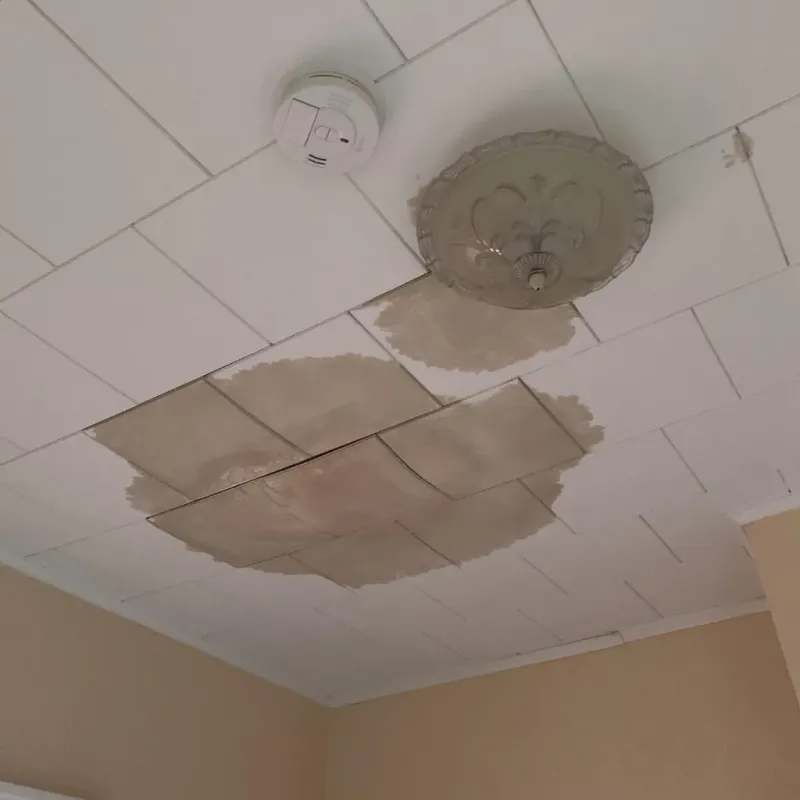 Ceiling Water Damage Repair in South Shore, KY