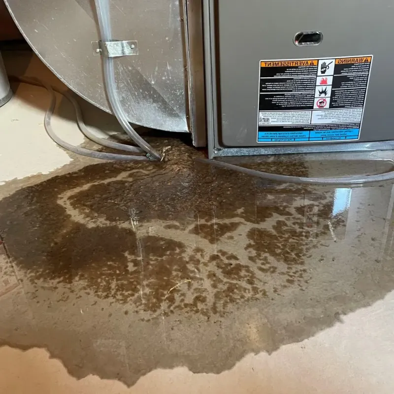 Pipe Burst and Leak Restoration in South Shore, KY