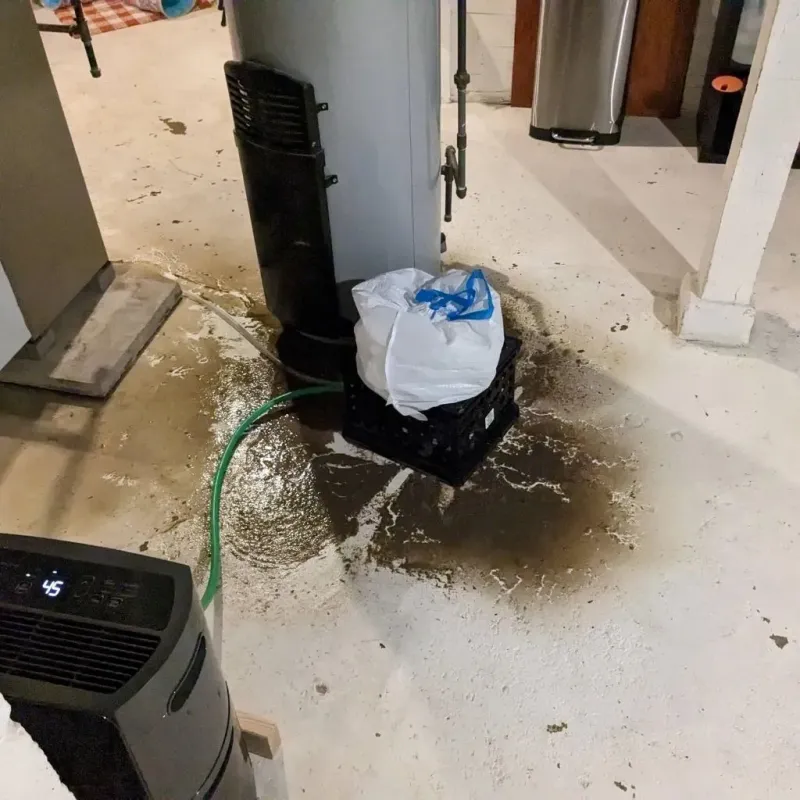 Sewage Backup Cleanup Service in South Shore, KY